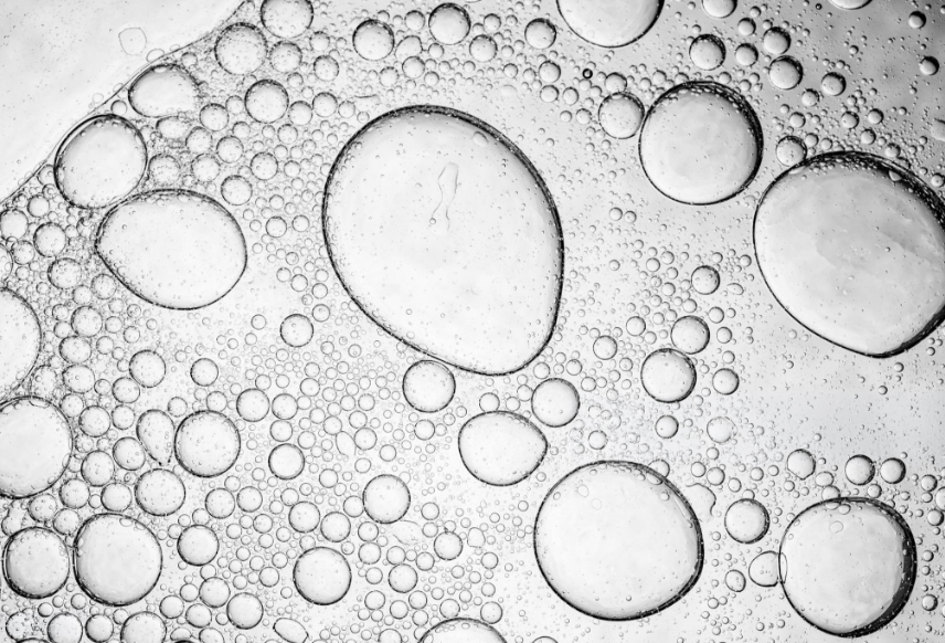ฟองอากาศจำลองนวัตกรรมการดูดซึมสารอาหารระดับเซลล์ (Phytosome)